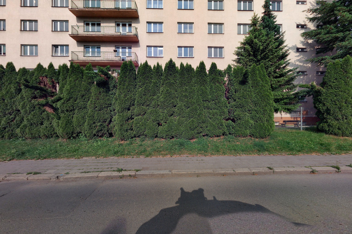 Pedagogicko-psychologická poradna, Karviná foto 2