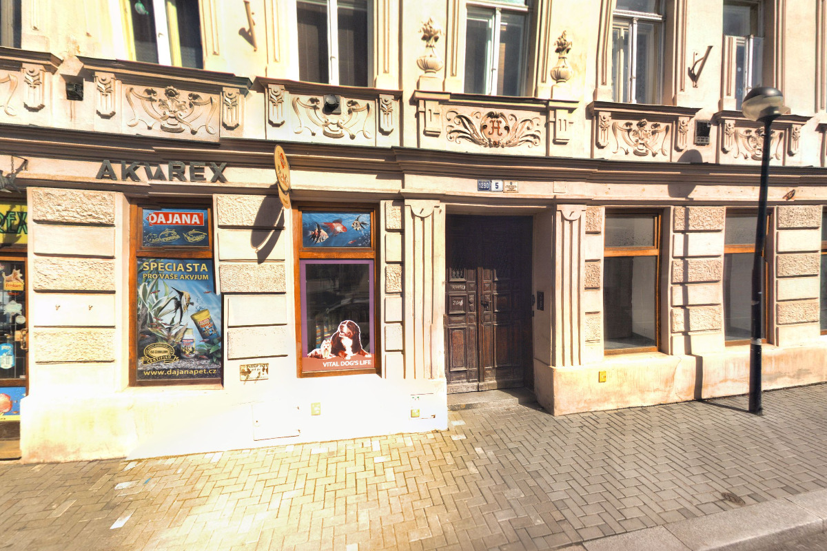 Akvarex foto 2