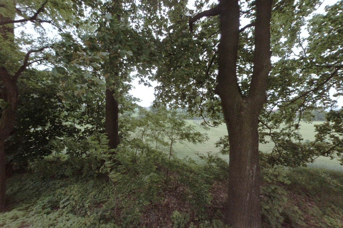 Český kynologický svaz ZKO Kozmice u Hlučína - 073