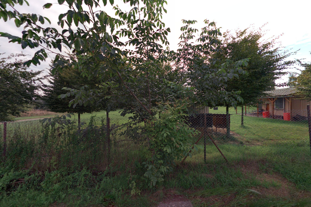 Kynologie Muglinov foto 1