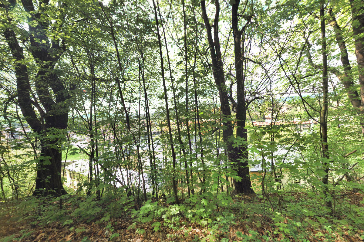 Komenského knihovna Fulnek foto 2