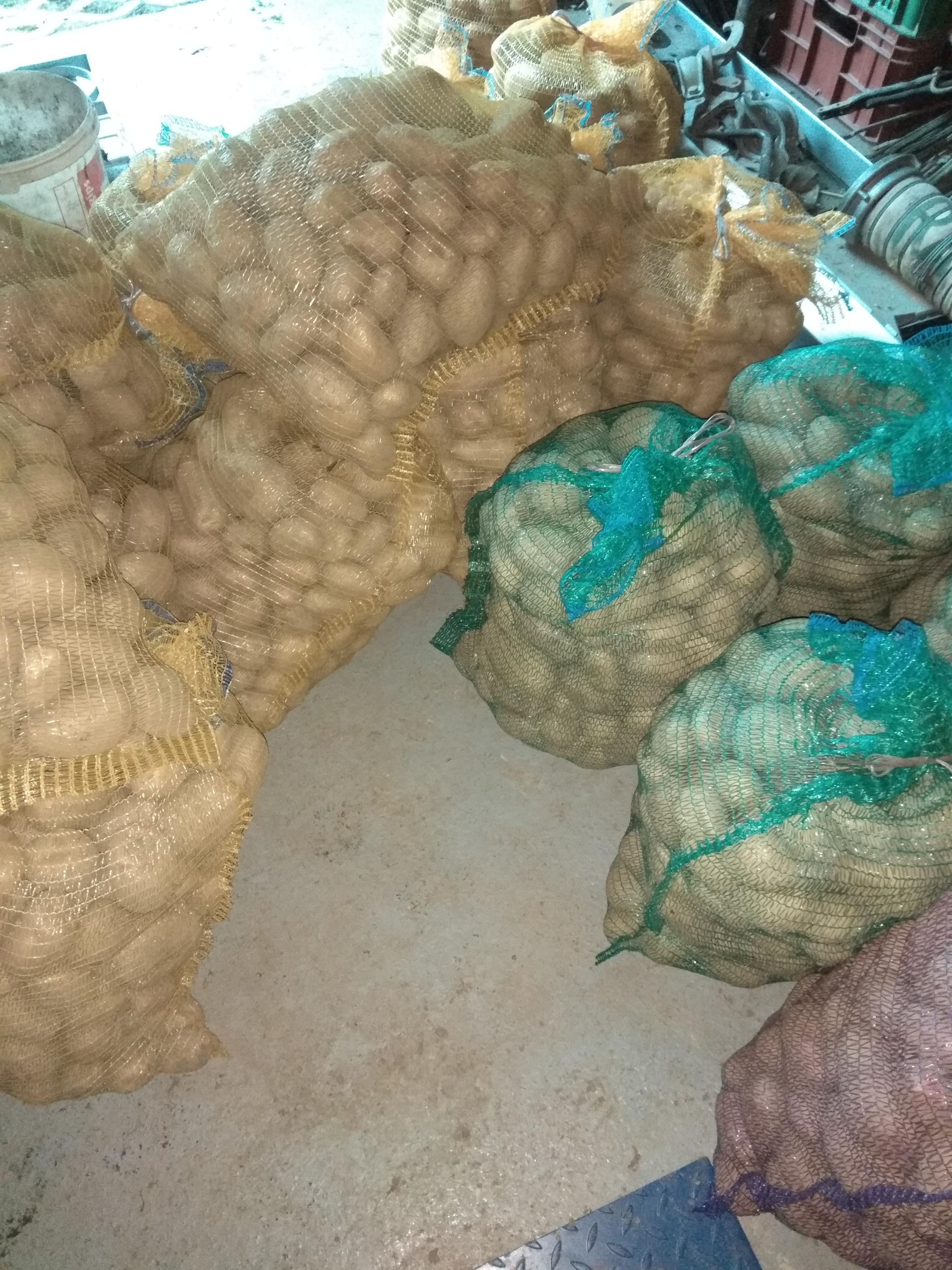 Prodej brambor a cibule Kateřina Pucková foto 2