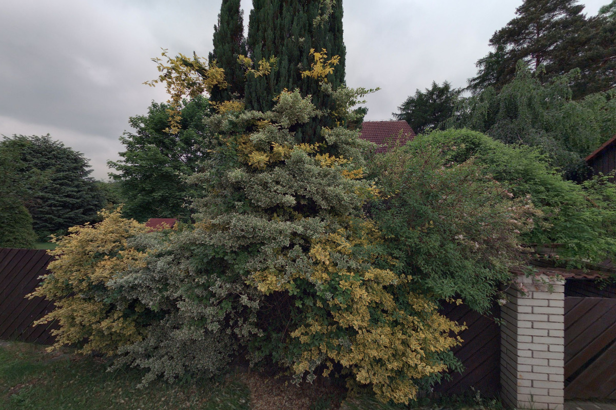 Lyžařský oddíl Vratimov z.s. foto 1