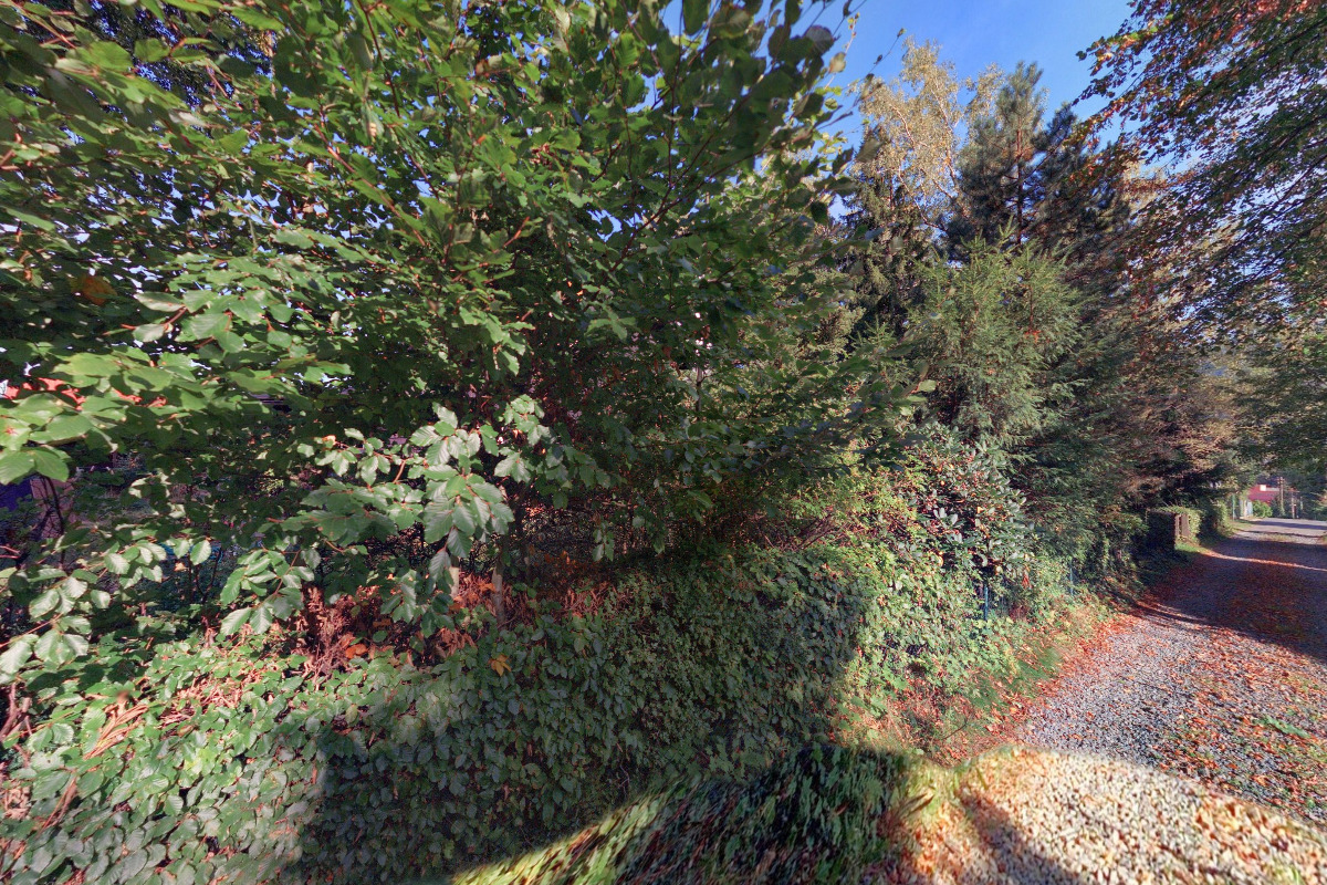 Folklorní soubor Grunik Ostravice