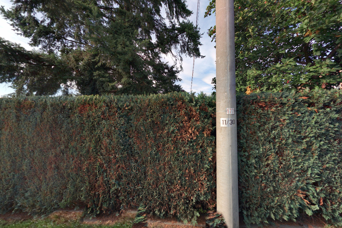 Stáj KoMoDaMa - JS Borneo foto 2