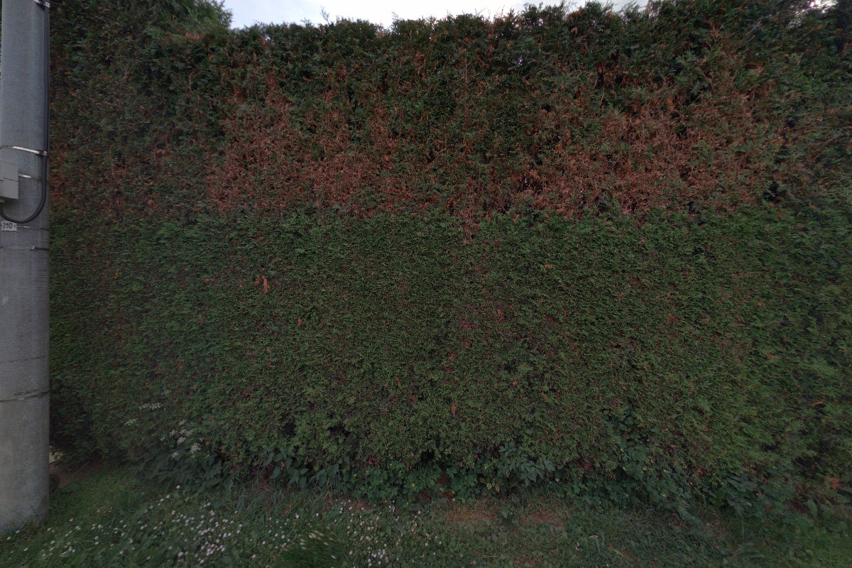 Výkopové práce Leona Hlocká foto 5