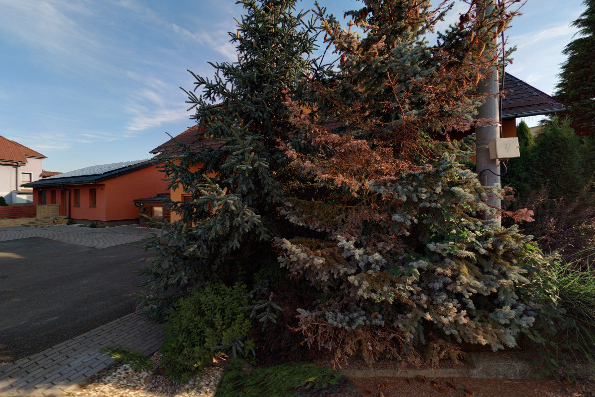 Levné ubytování - Stehlík foto 5