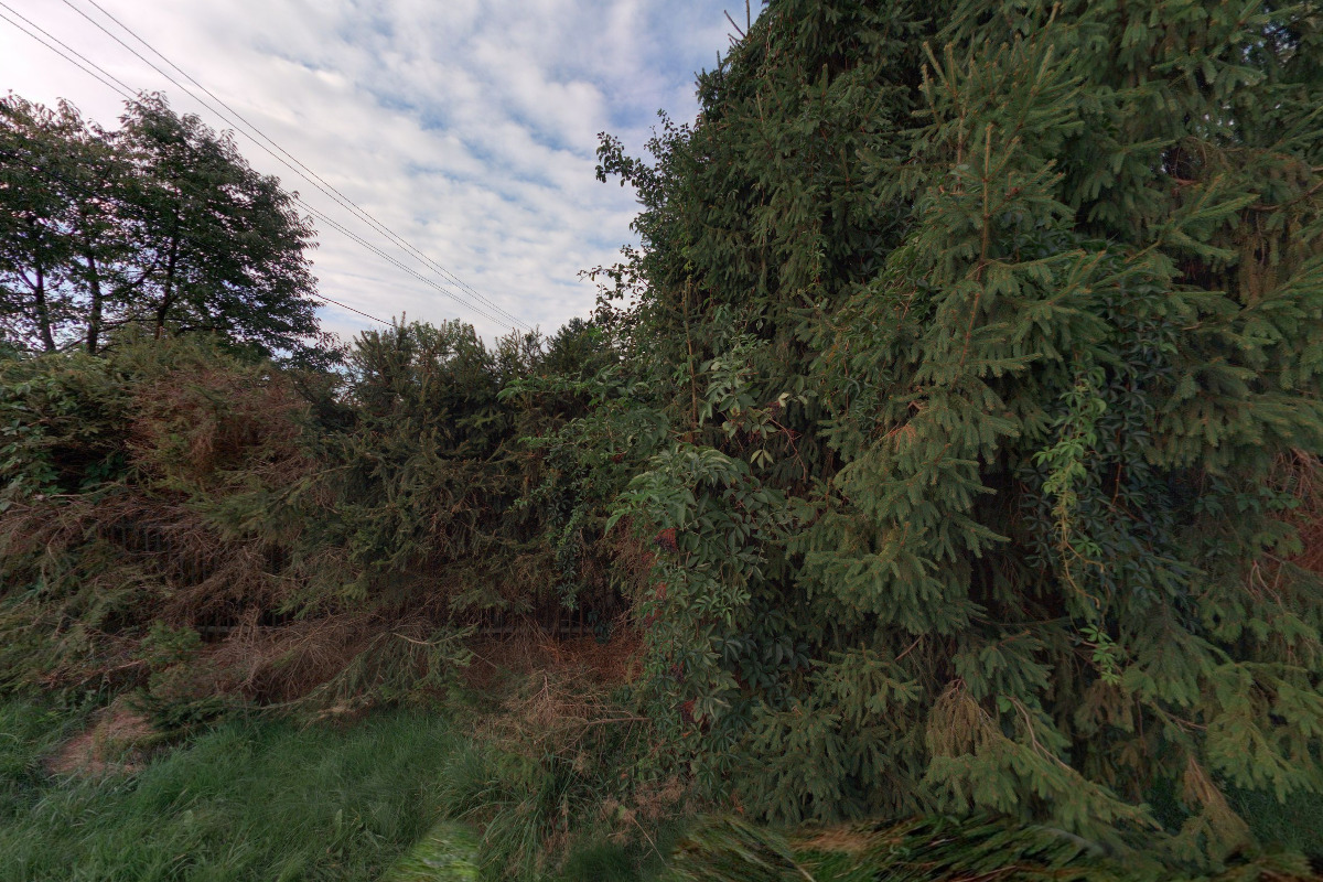 Chovatelská stanice Joannidis