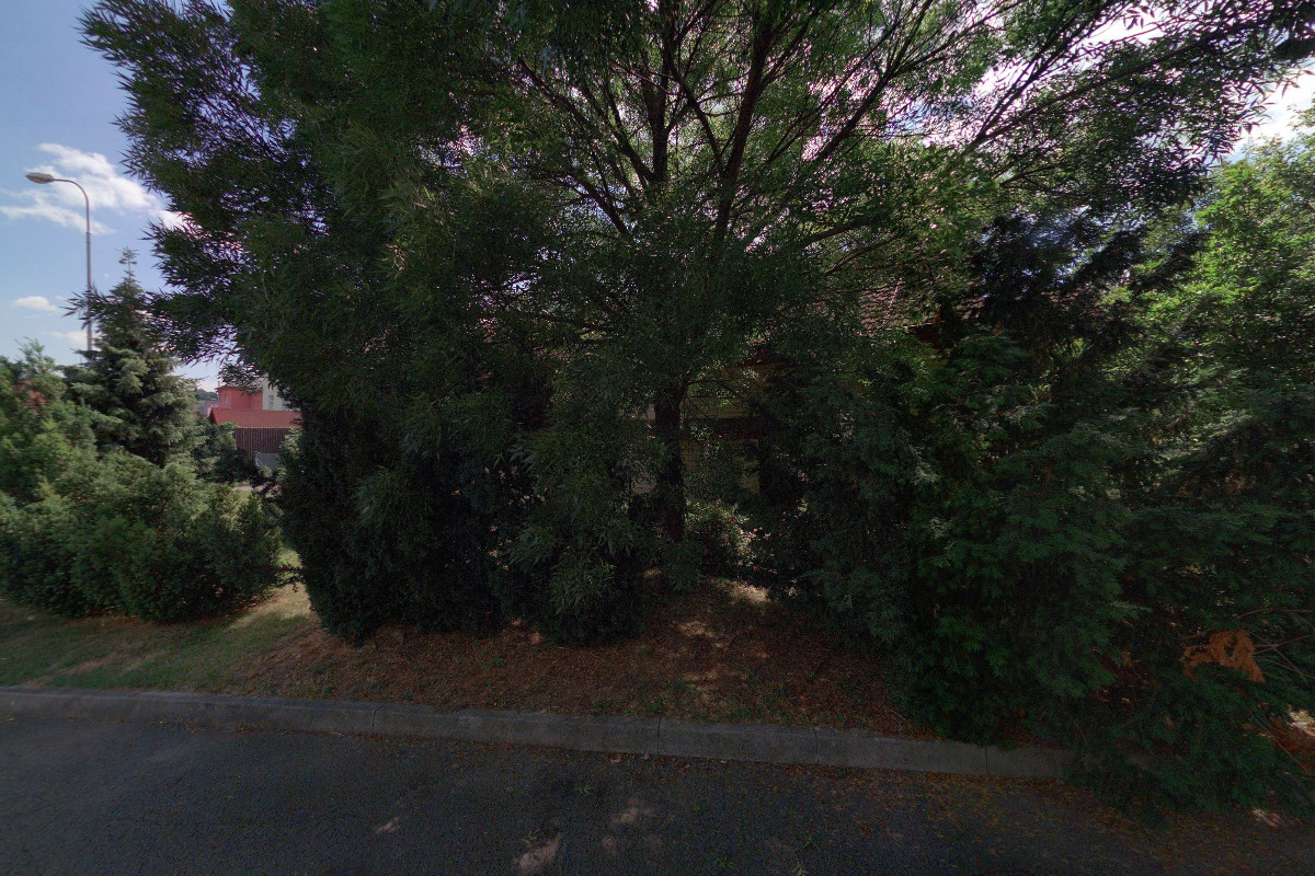 Náboženská společnost Svědkové Jehovovi