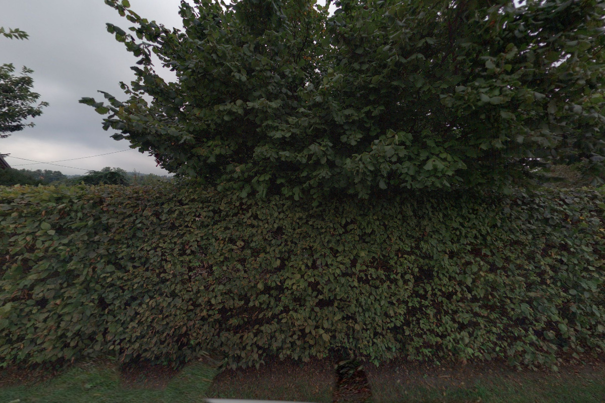 Ing. Jaroslav Dvořáček