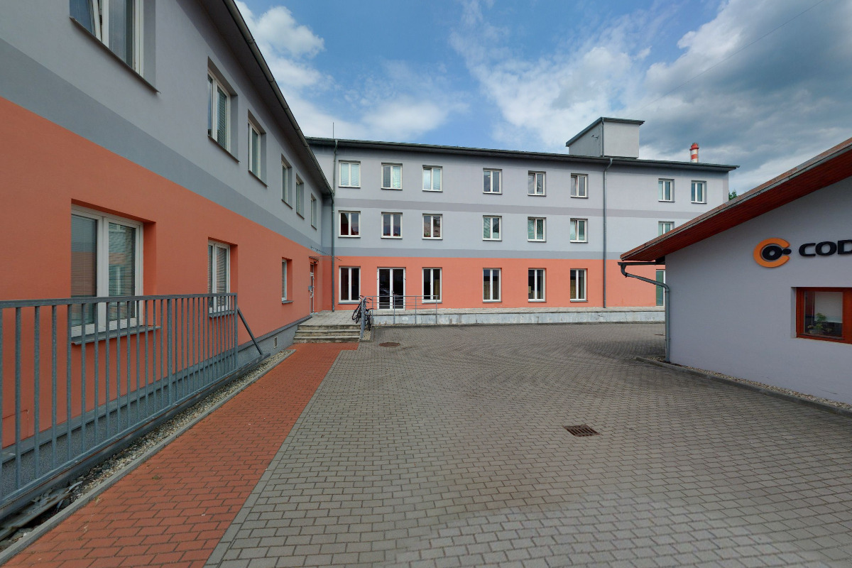 Dana Opavská foto 2