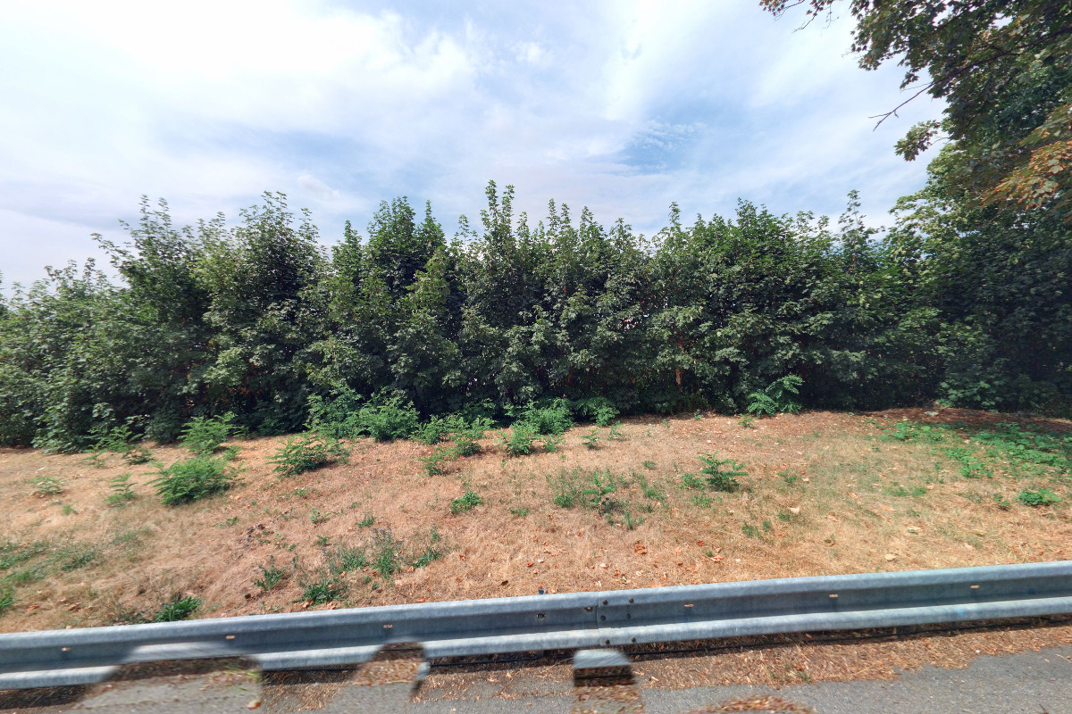 Dagmar Růžičková