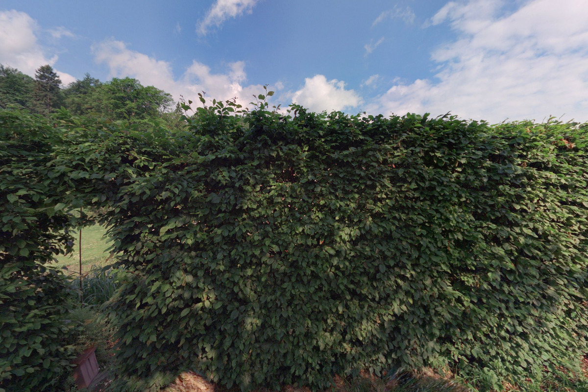 Geodetické práce Zbyněk Bureš