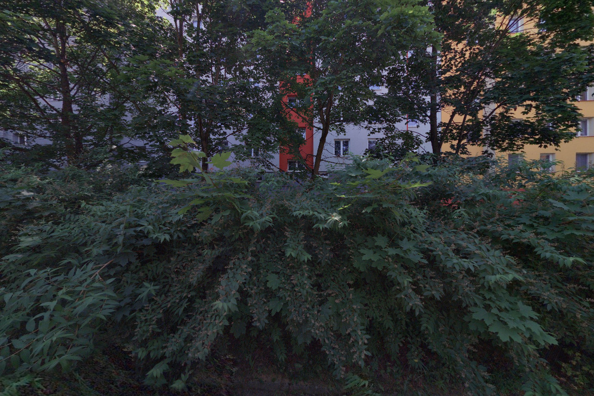 Ing. Kamila Schwamberger - Požární bezpečnost staveb