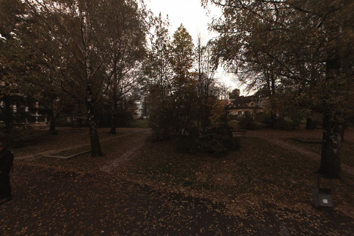 Lege-artis foto 2