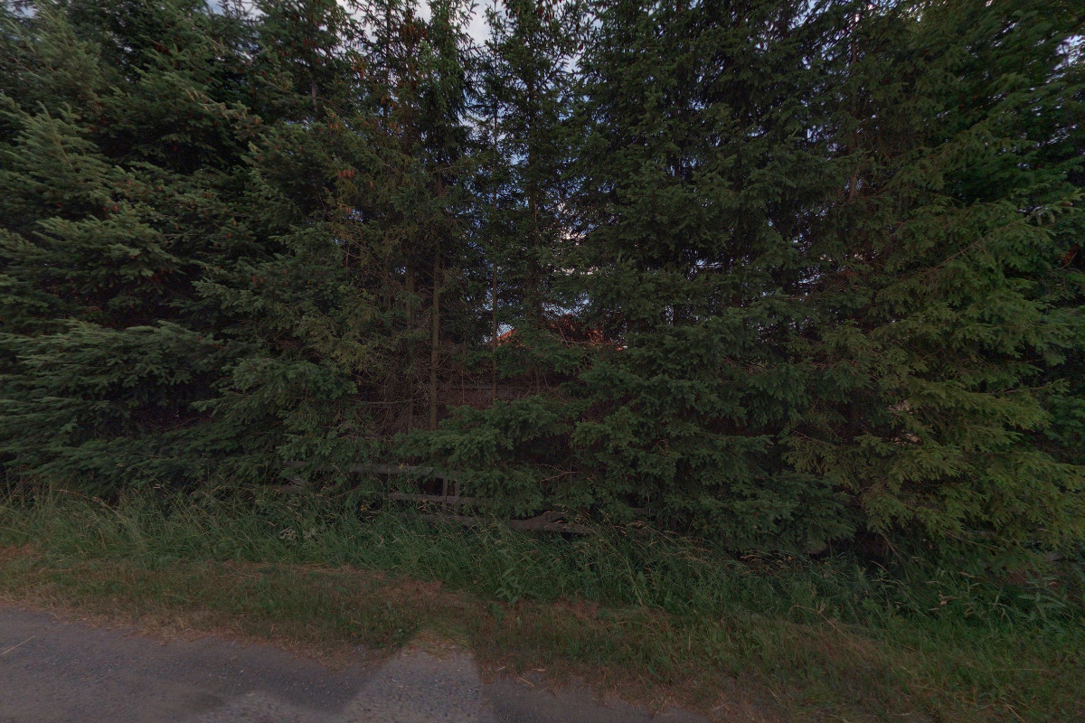 Jezdecký klub Amír foto 5