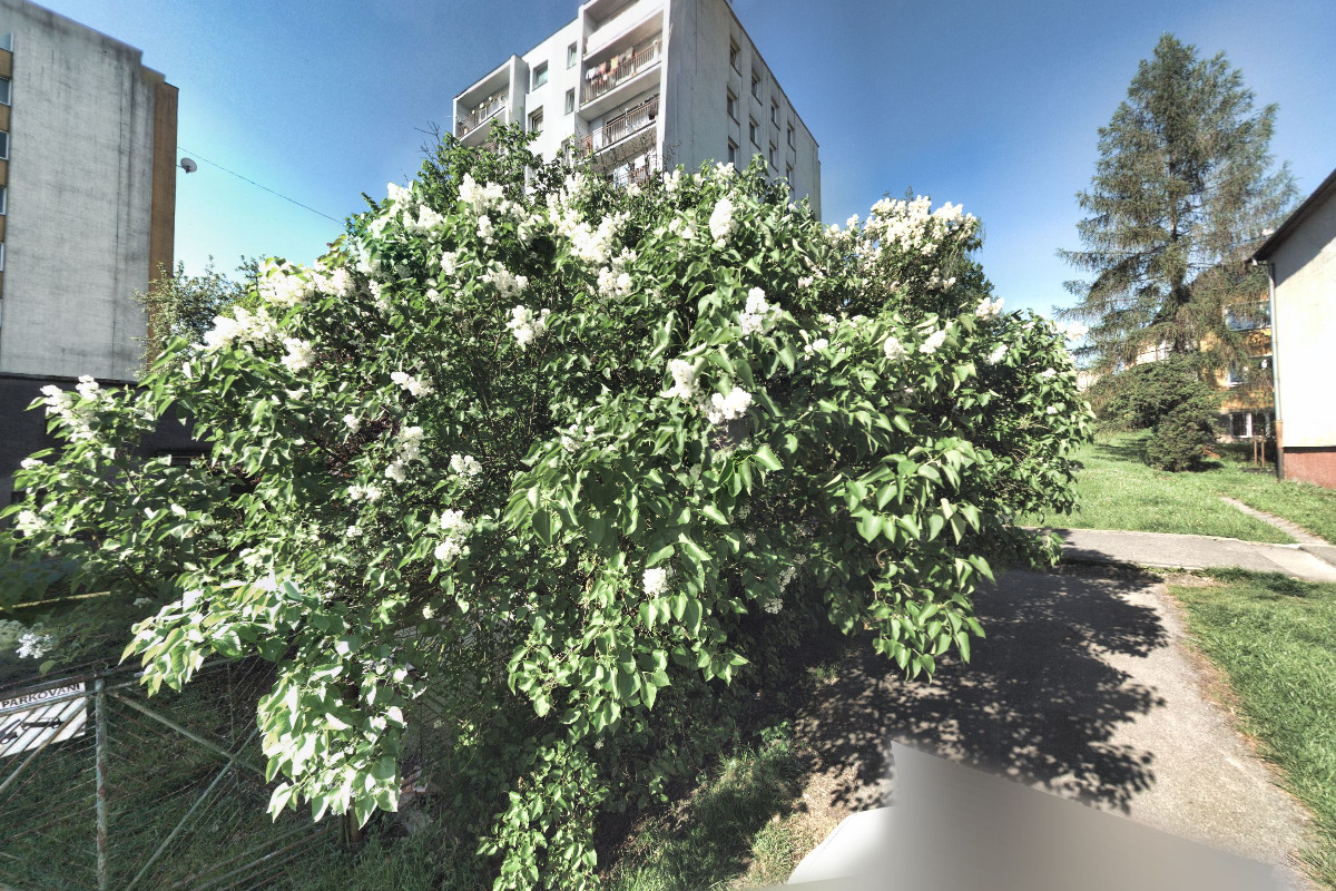 Zdeněk Onderek foto 3