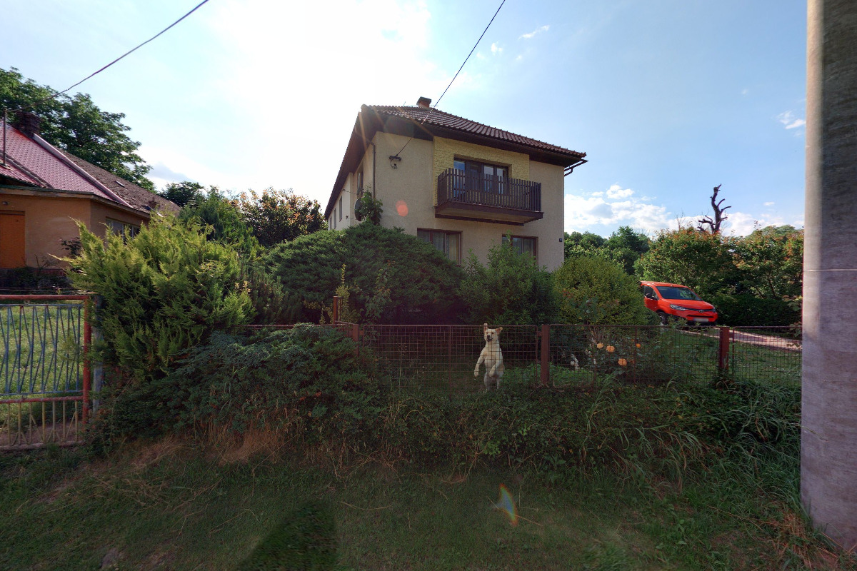 BUMBLEBEES Čmeláci Zátor