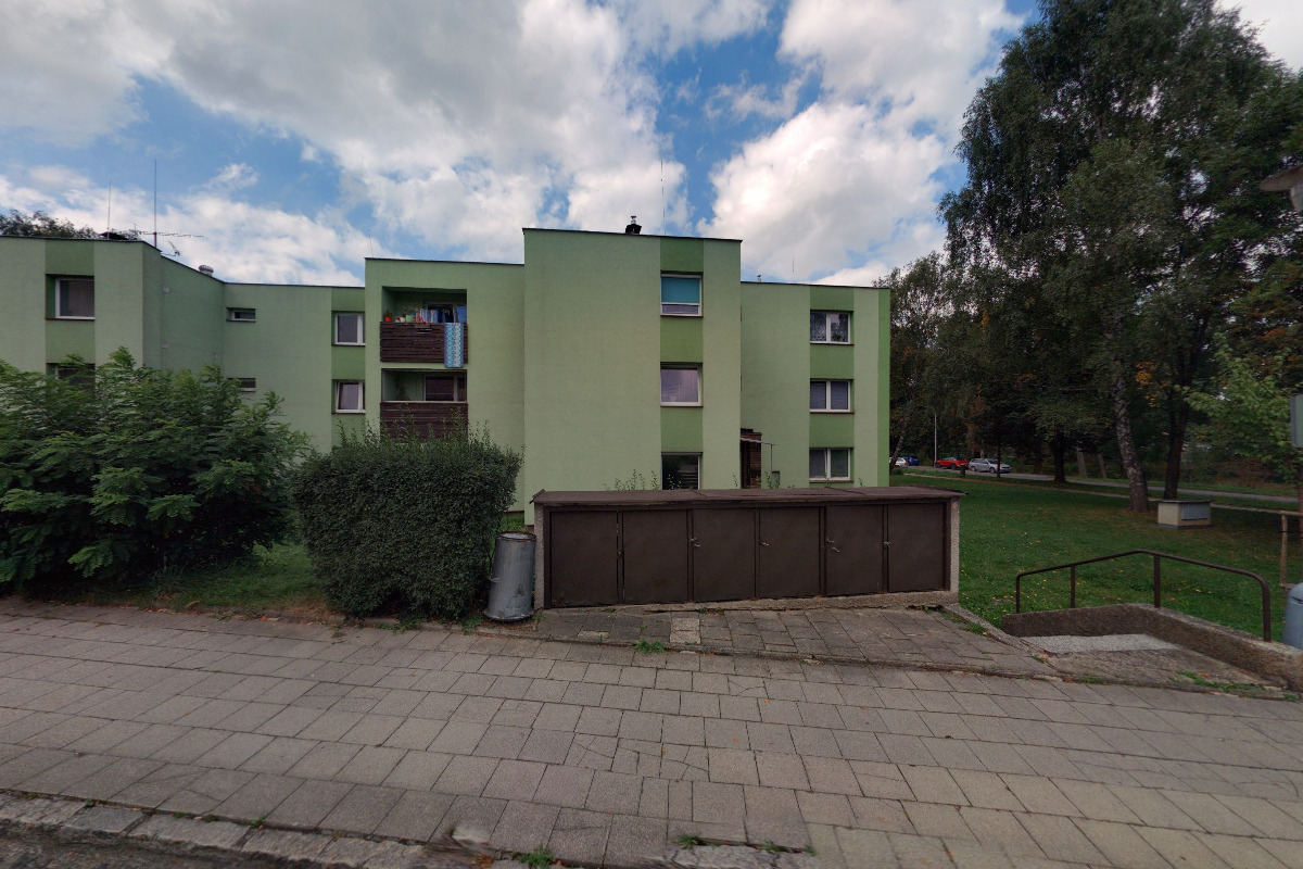 Roman Němec - ostraha foto 1