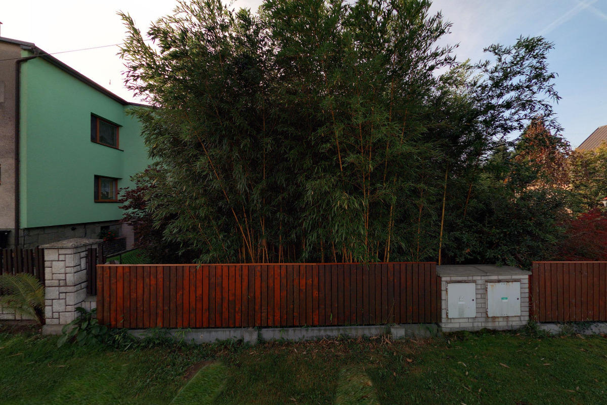 Mgr. Martin Rabinský