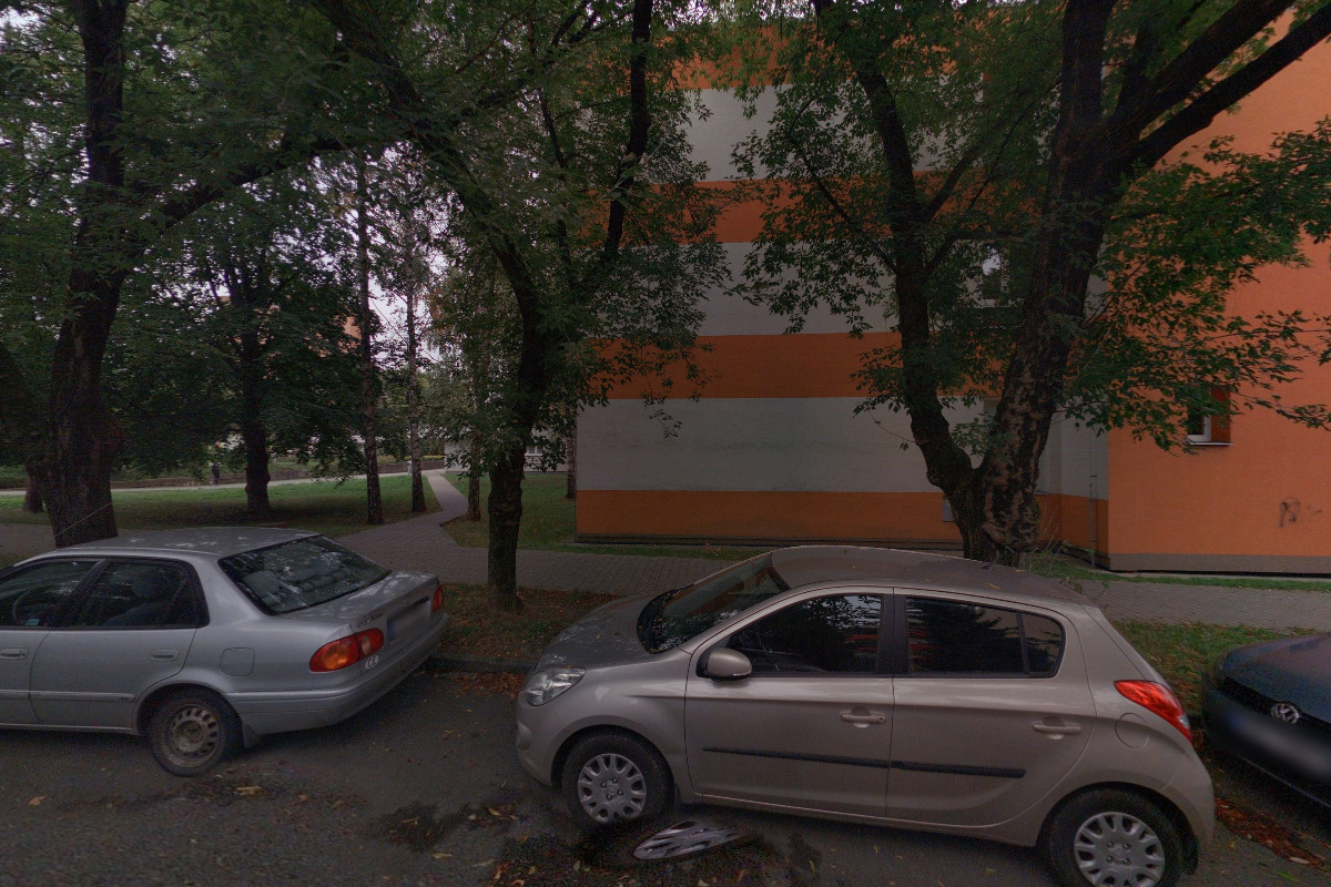 Místní knihovna Loučka