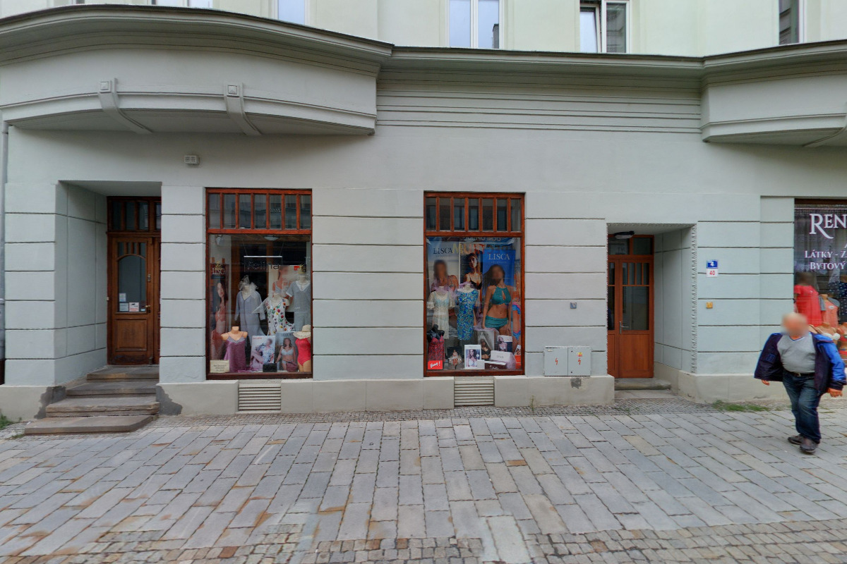 Český svaz chovatelů Základní organizace 1. Slezská kočičí Ostrava foto 2