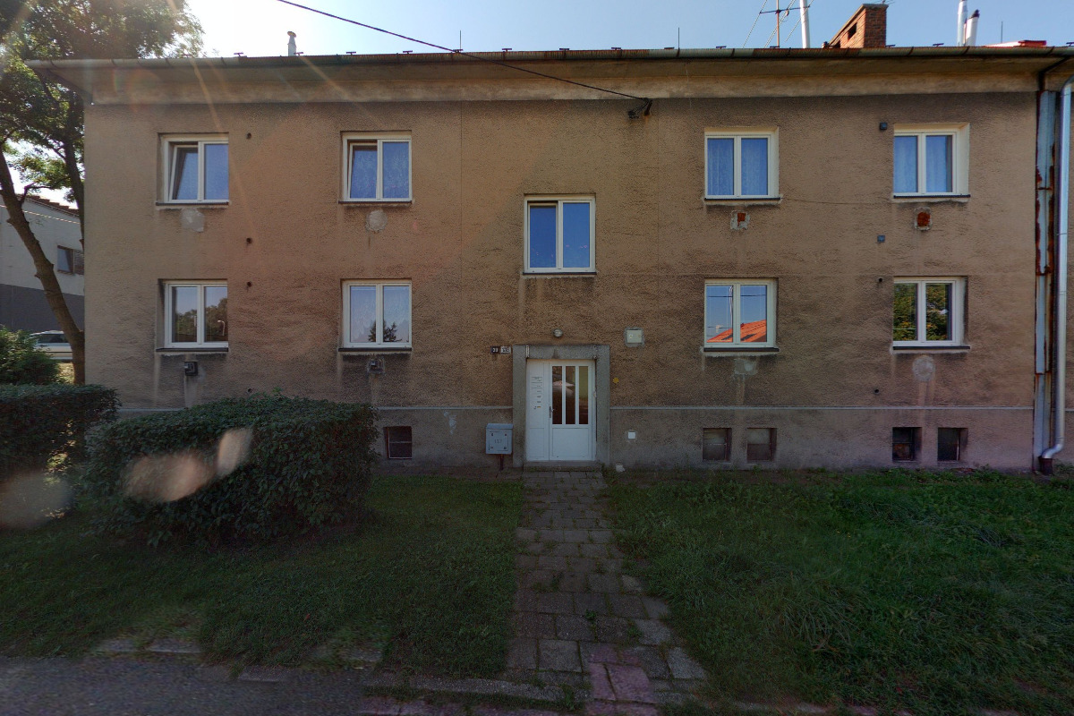 Orange dragons, z. s. foto 1