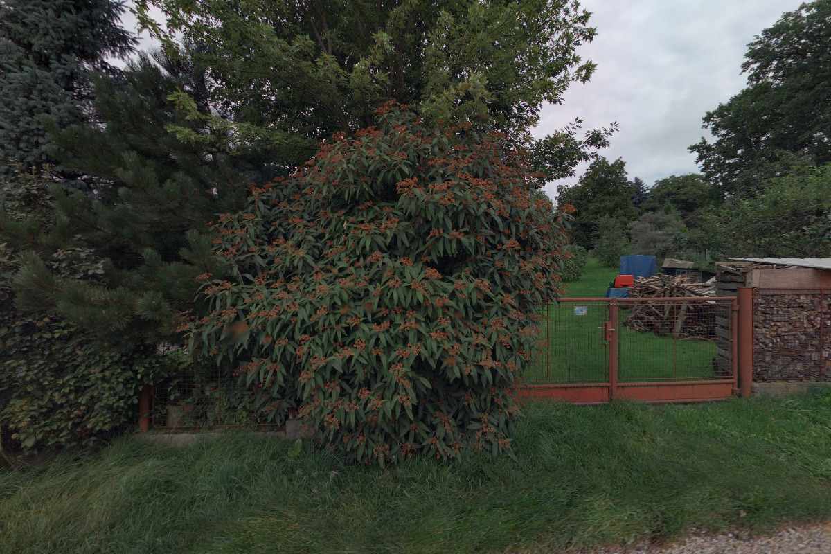 TT TRANSPORT, s.r.o.