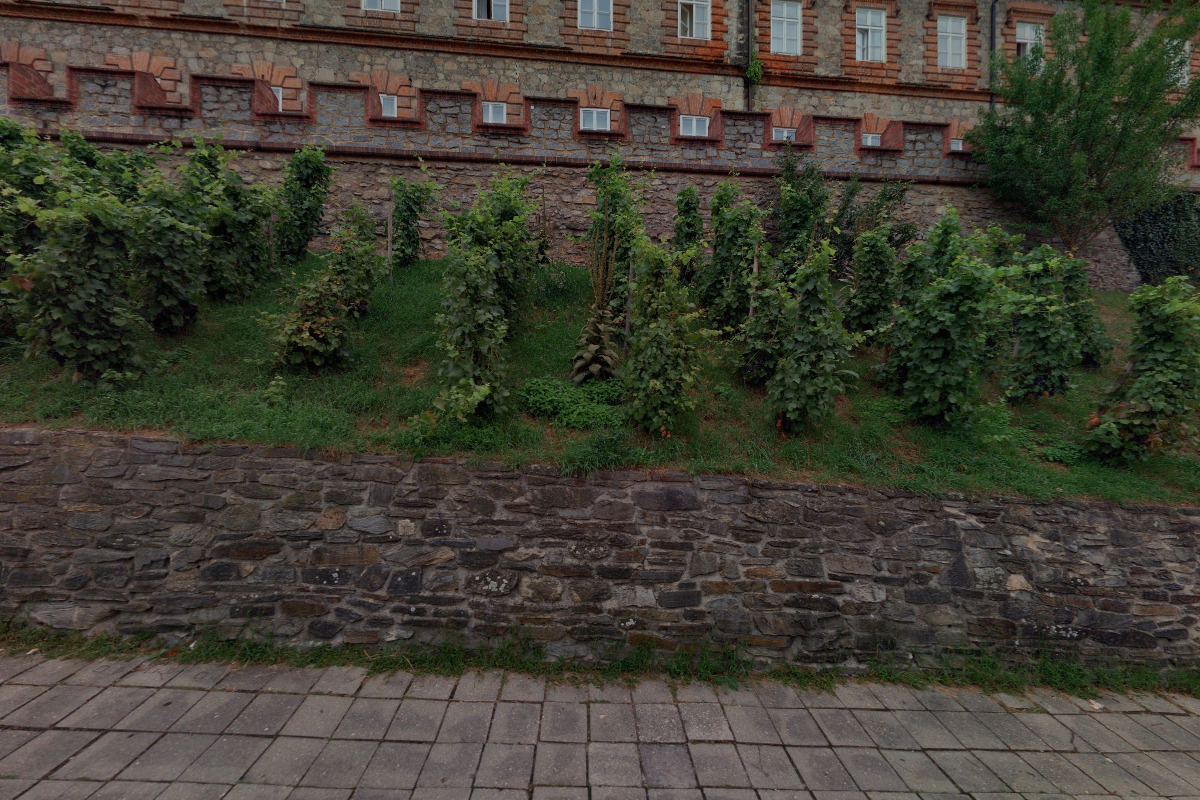 Biorezonanční a detoxikační centrum MEDrezona