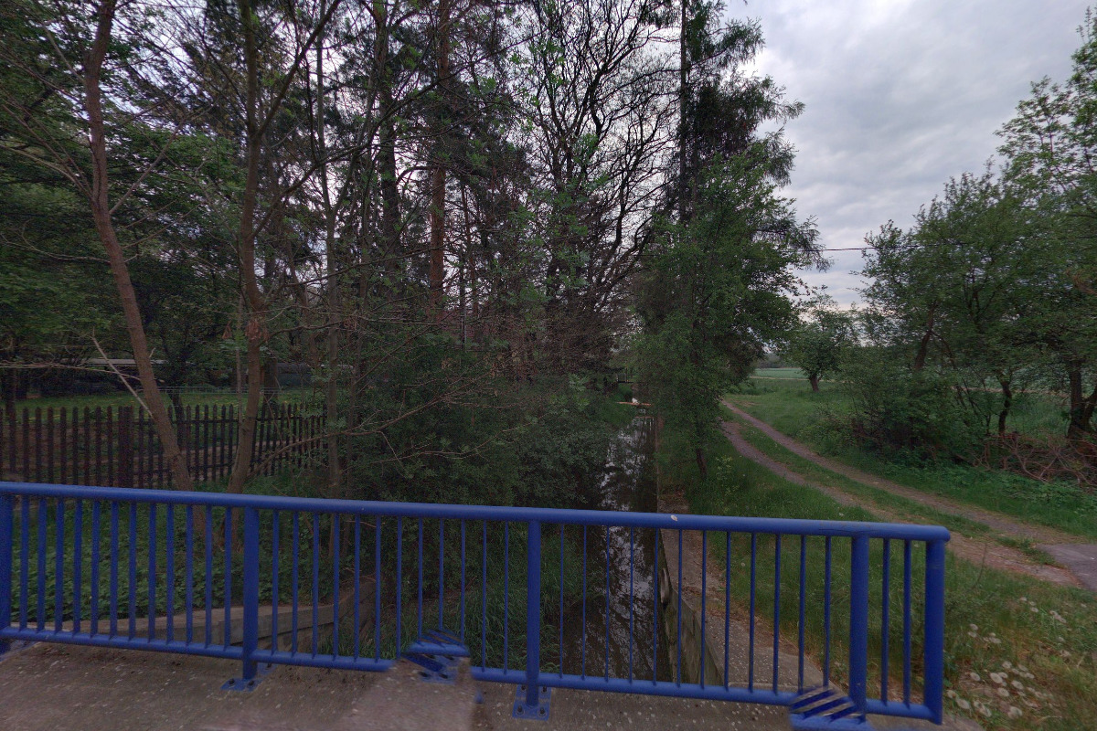 Beagle Club České republiky