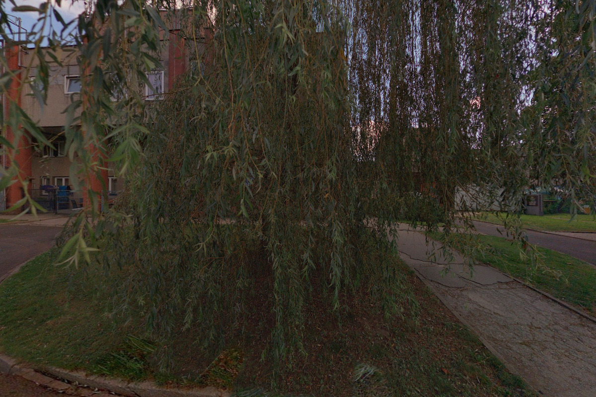 Hospůdka U Dřeváka