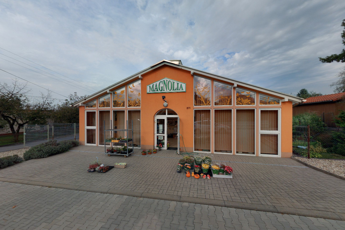 MAGNOLIA