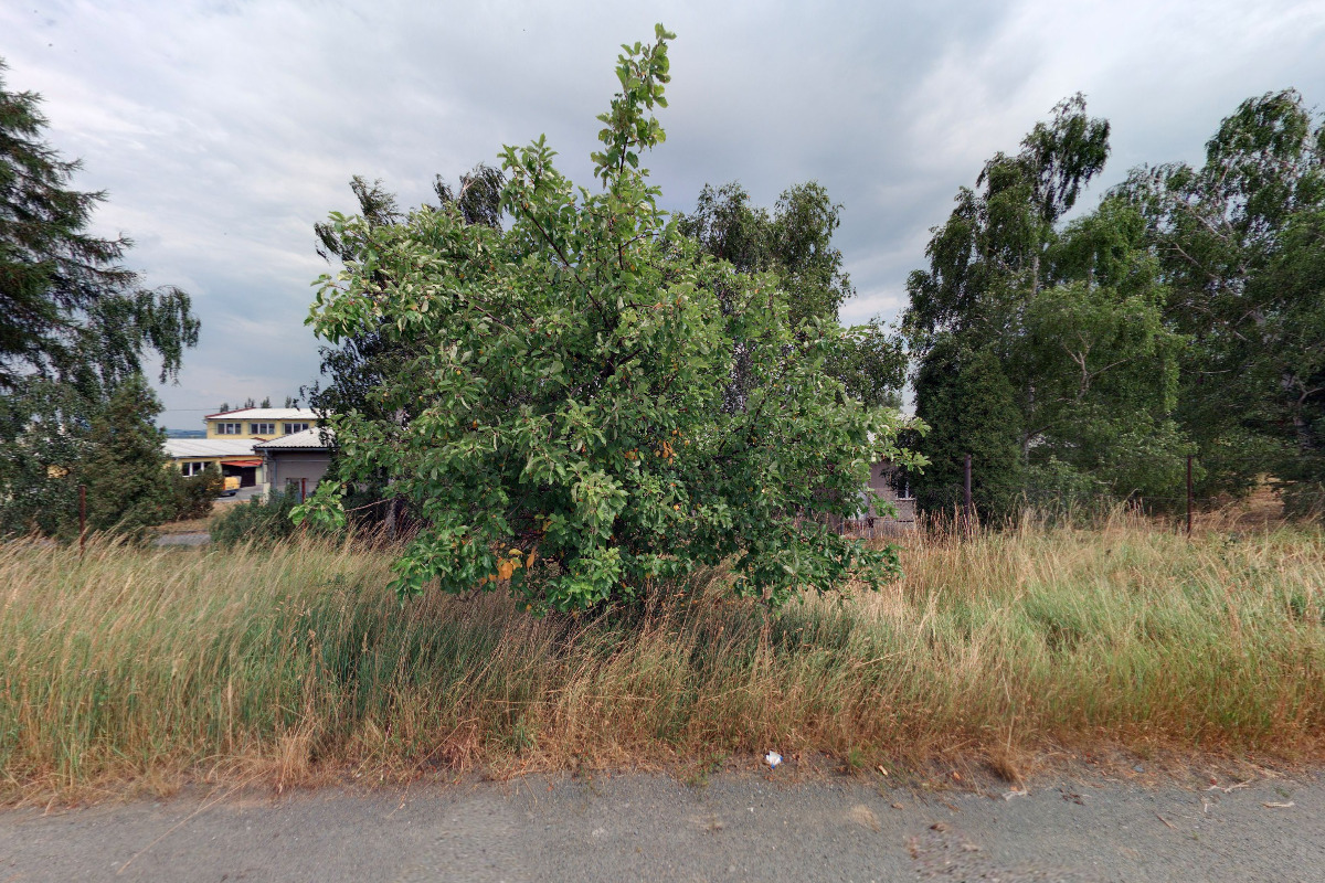 Prodej medu - AGROFOREST