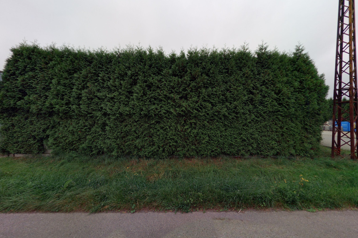 MAKAI - Luboš Blažek