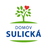 logo Domov Sulická