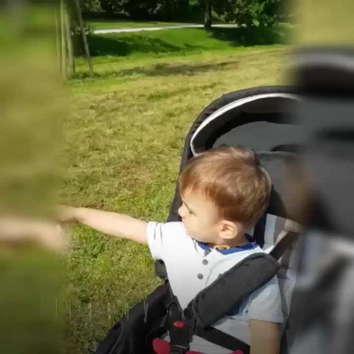 Baby Signs - znakování s batolaty foto 2 (náhled videa)