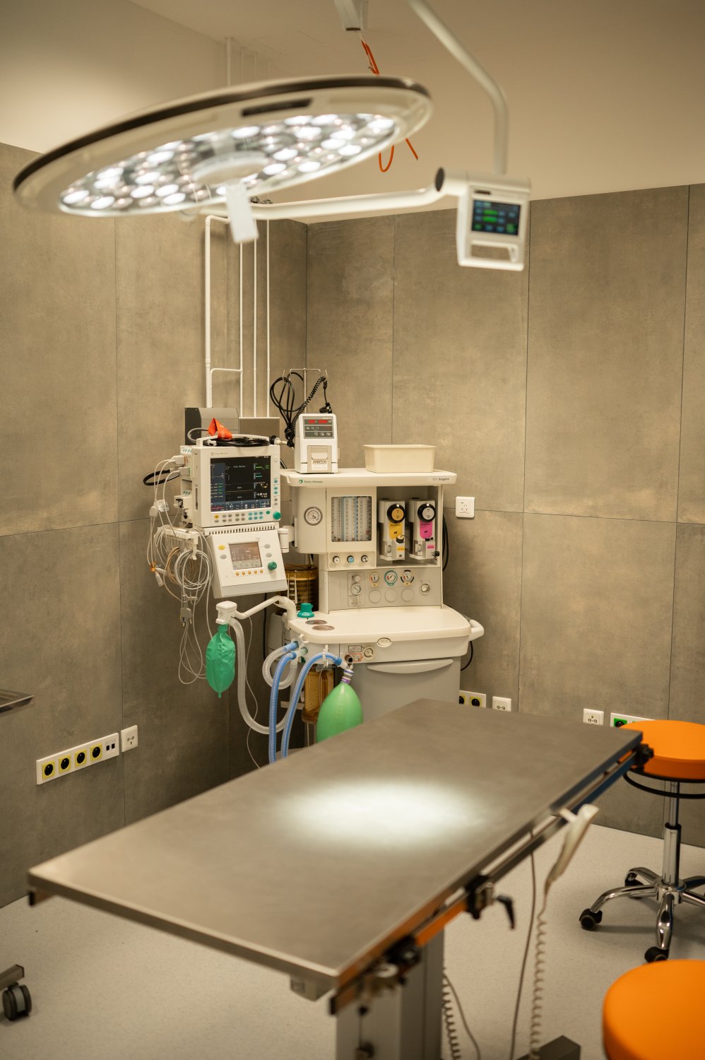 RegiaVet - veterinární klinika foto 3