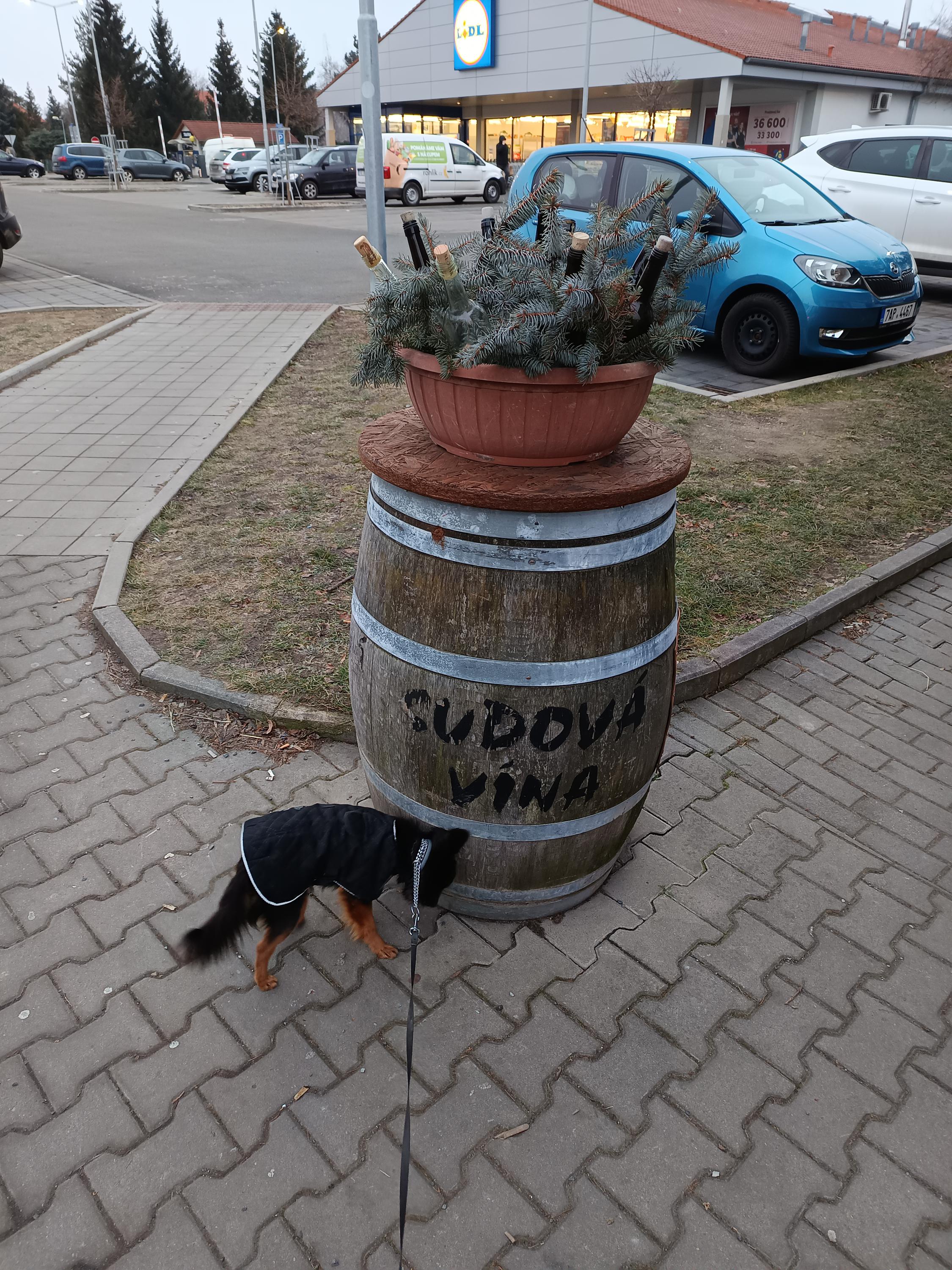 Vinotéka nad Lesy foto 3