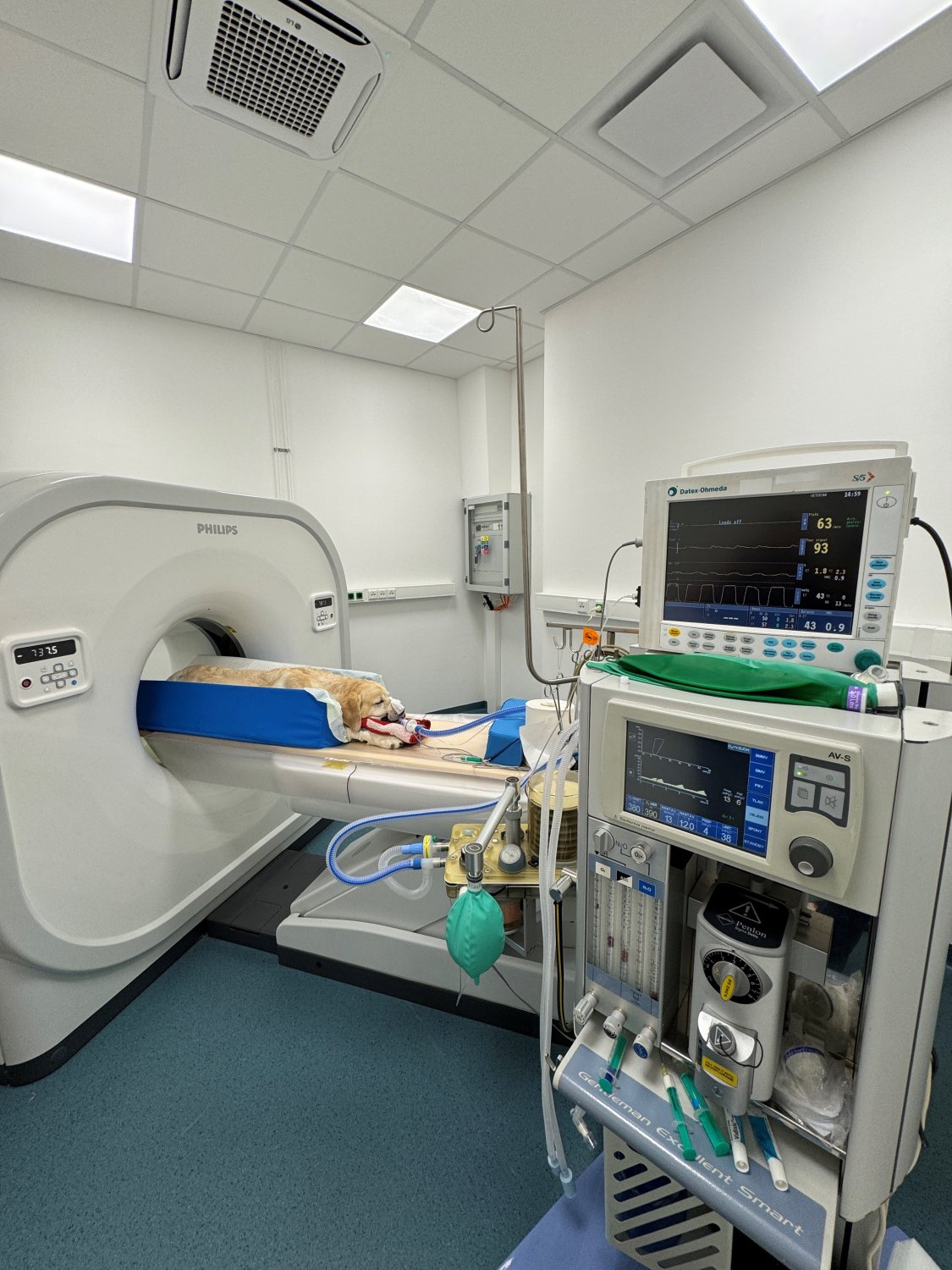 RegiaVet - veterinární klinika foto 2