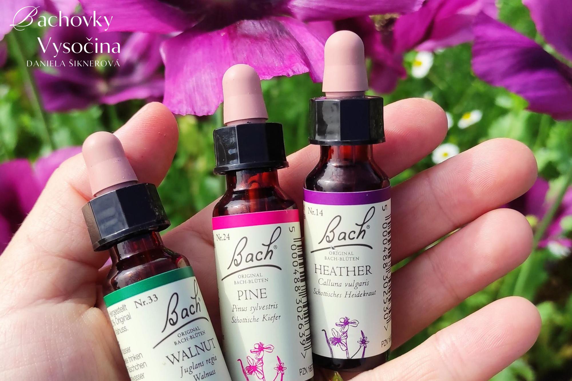 Daniela Šiknerová - Poradna