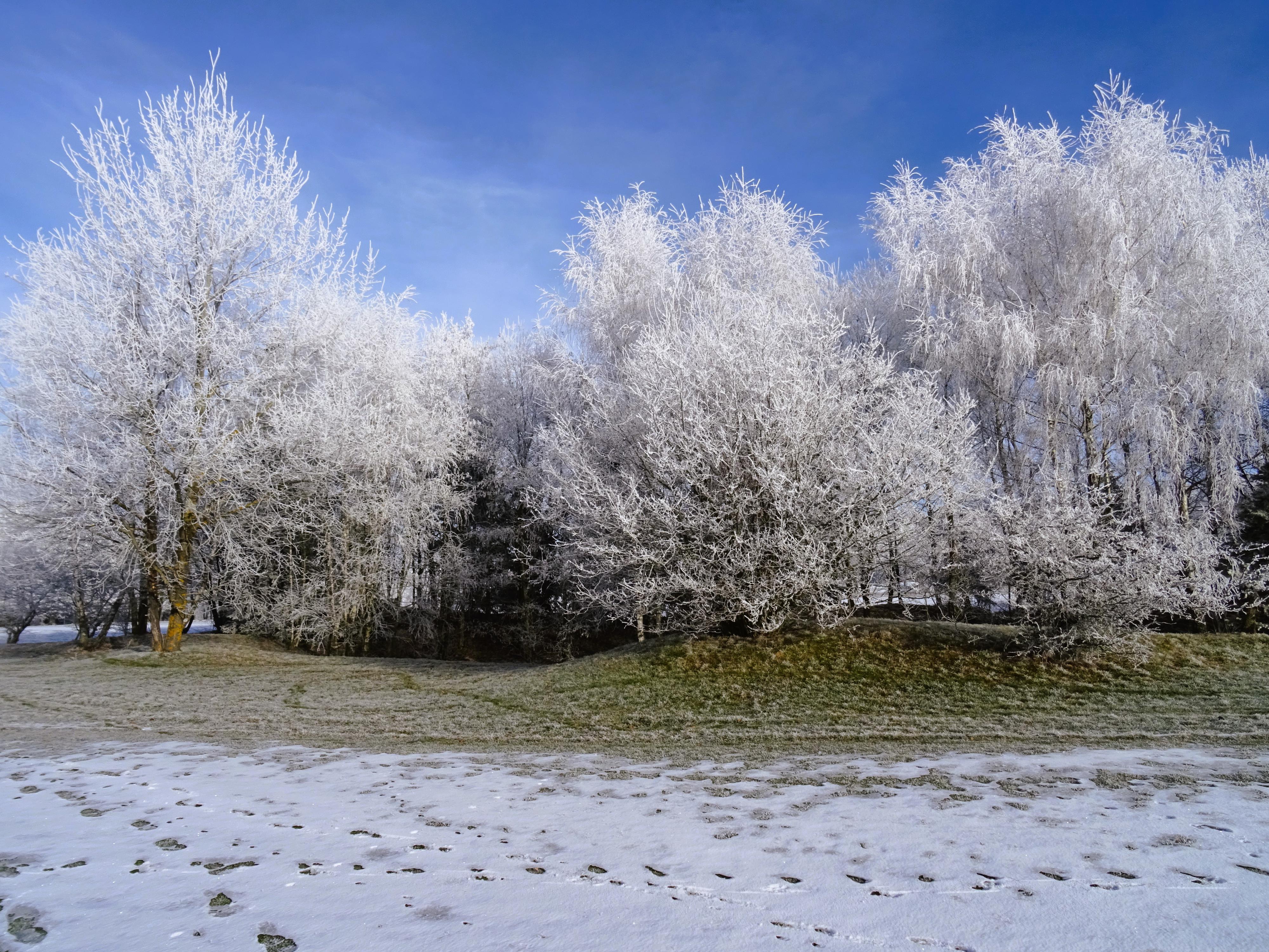 Golf & Ski Resort Kořenec u Boskovic foto 2
