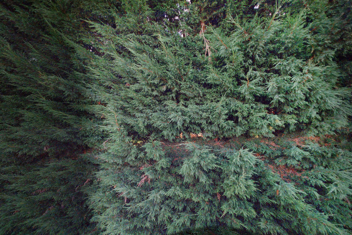 restART - Monika Hadová