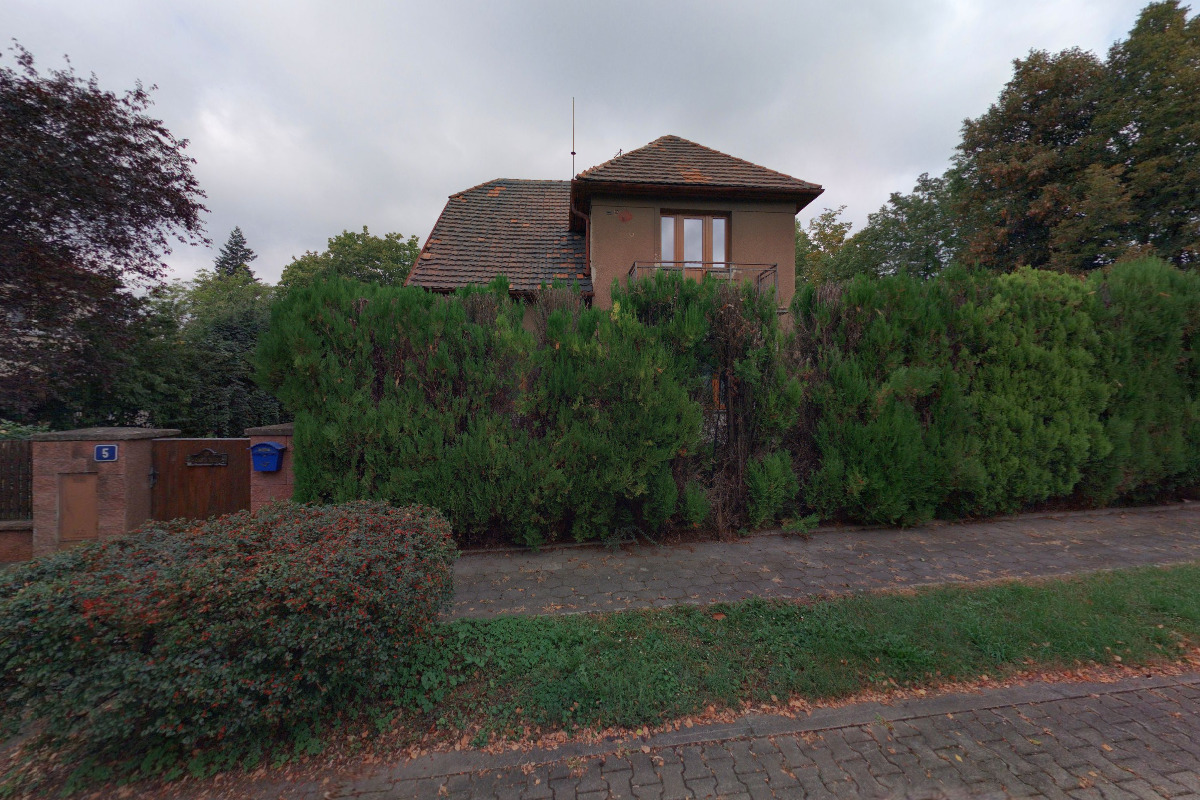 CANIS BULL SHOP foto 2