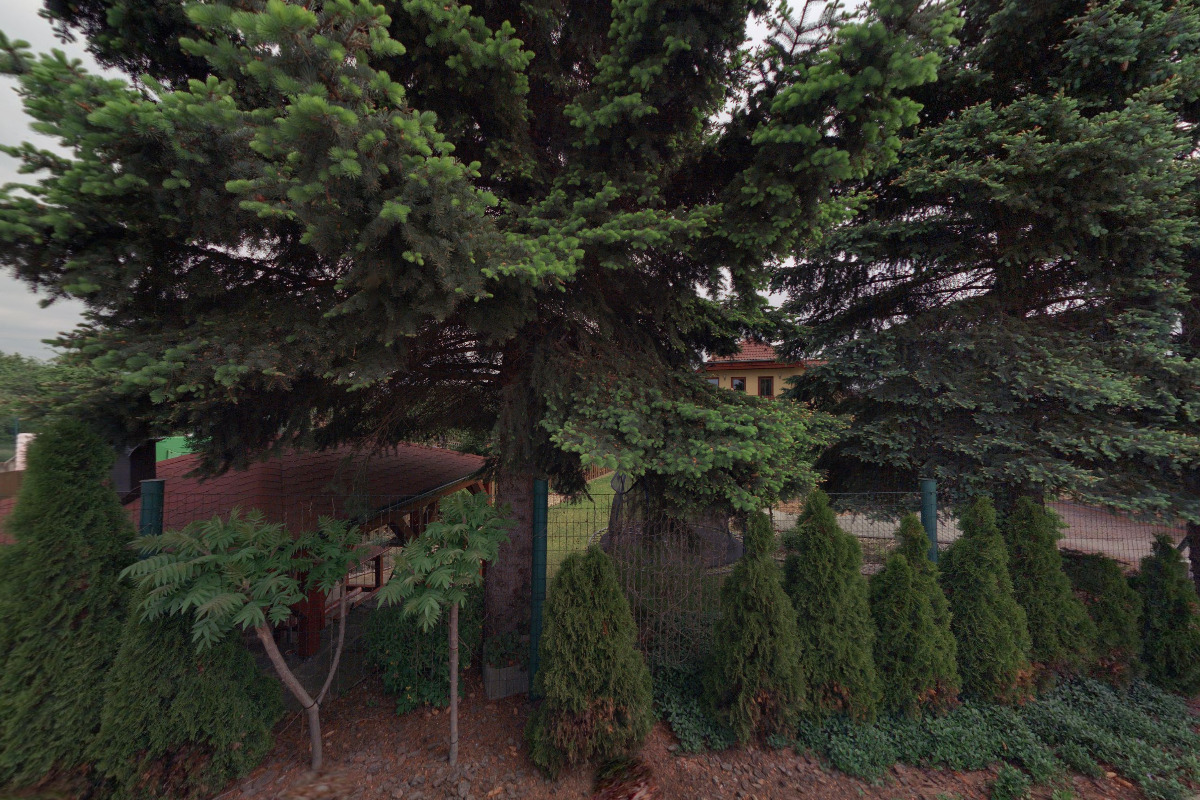 Český svaz estetické skupinové gymnastiky