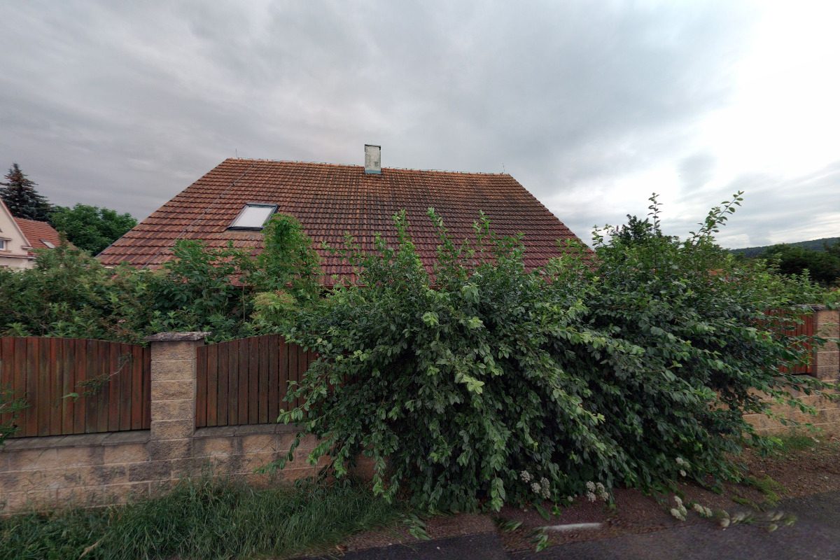 Mgr. Leona Holubová - překladatelské služby