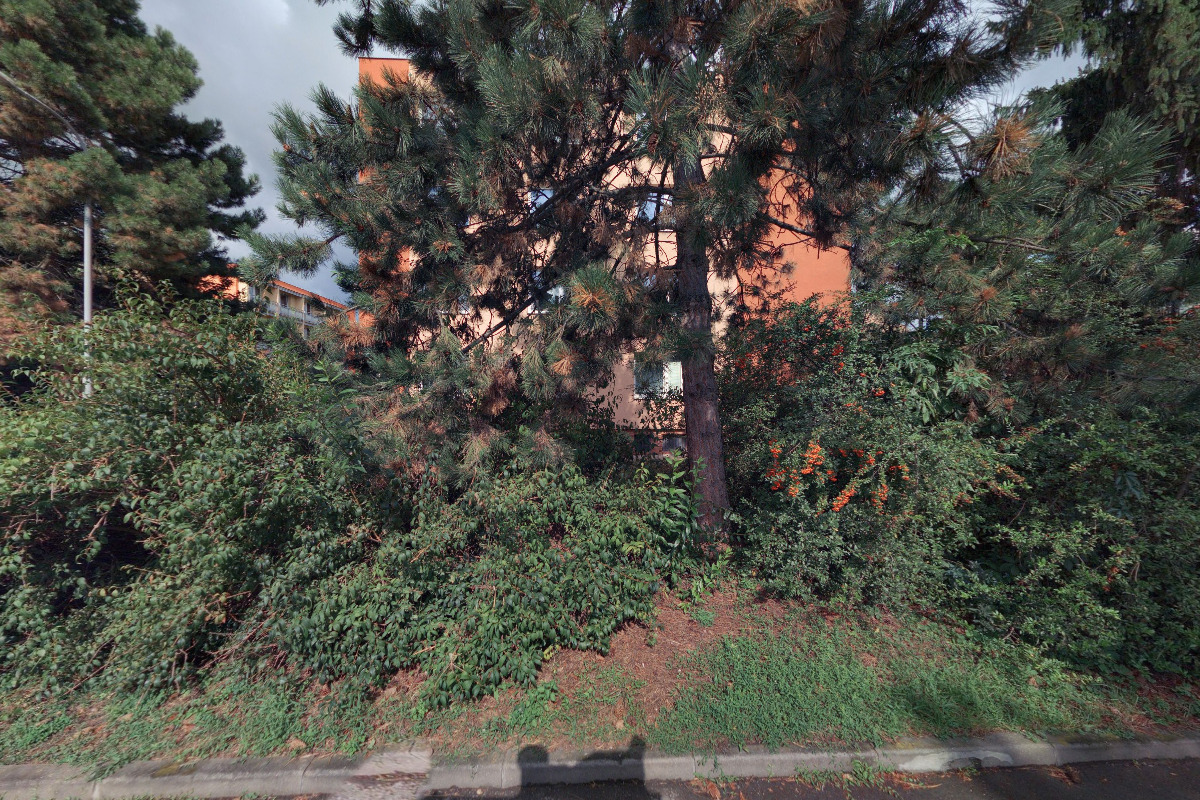 Ing. Jaromíra Jabůrková