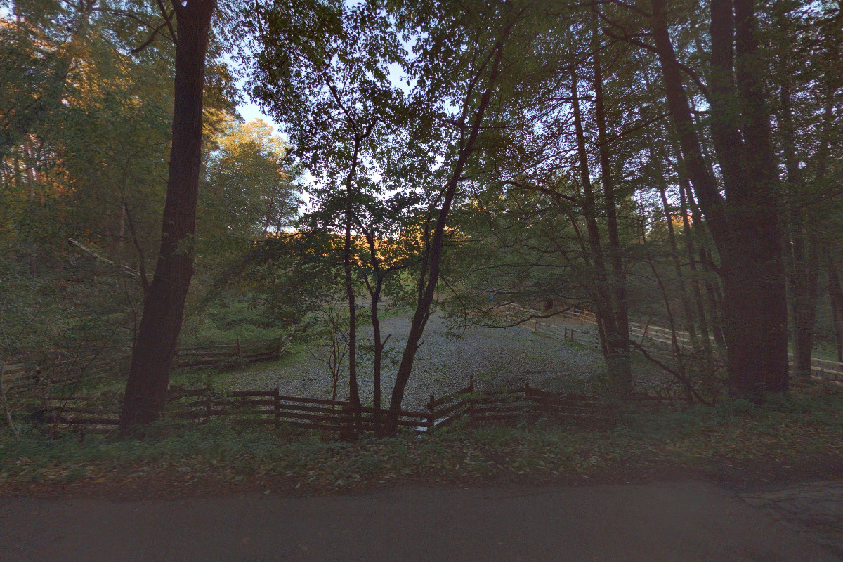 PINTA - DRUHÁ ŠANCE, spolek pro opuštěná a týraná zvířata