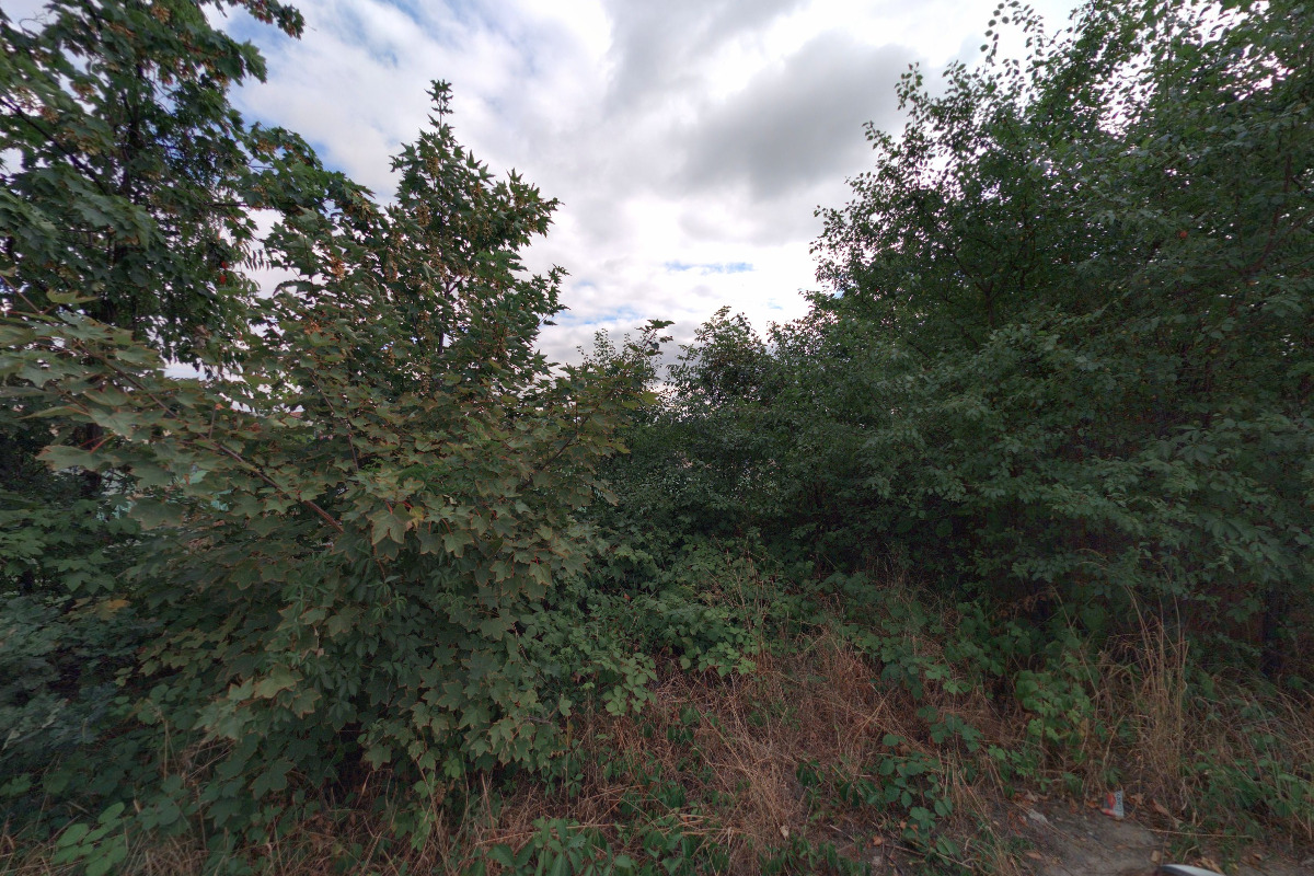 SK SLAVIA PRAHA - POZEMNÍ HOKEJ, z.s. foto 2