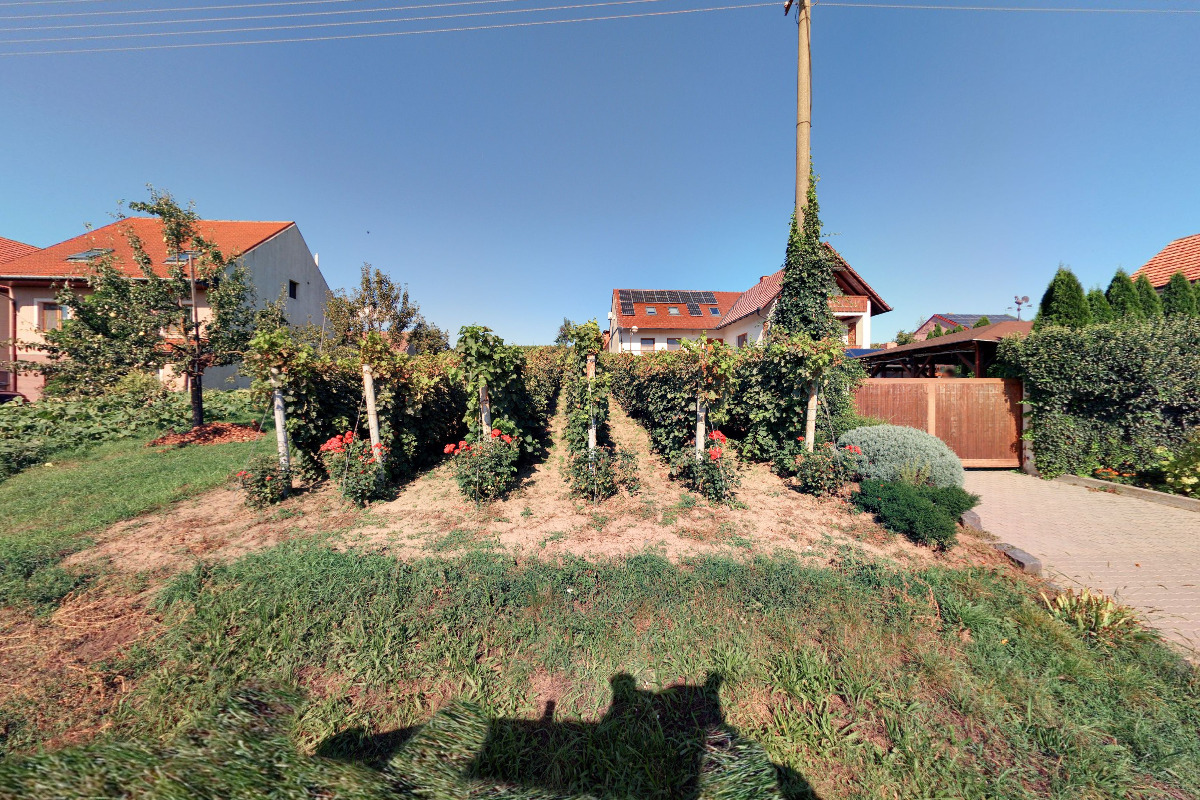 Mgr. Ladislav Pavluš
