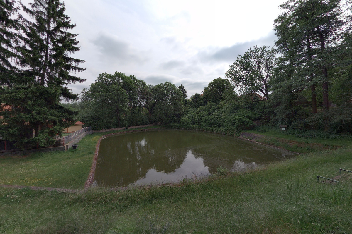 Dřevčický rybník - sportovní rybolov